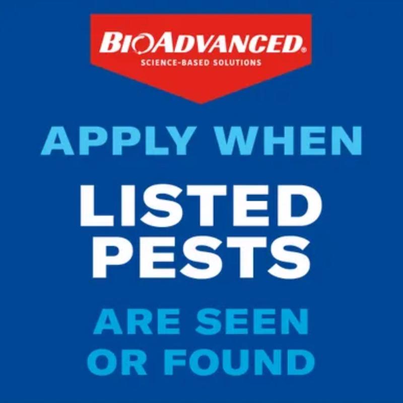 BioAdvanced Termite Killer Granules 9 lb