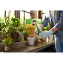 Miracle-Gro Cacti, Citrus and Palm Potting Mix 8 qt