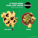 Miracle-Gro Watering Can Singles Powder All Purpose Plant Food 24 pk