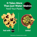 Miracle-Gro Shake 'n Feed Granules Plant Food 4.5 lb