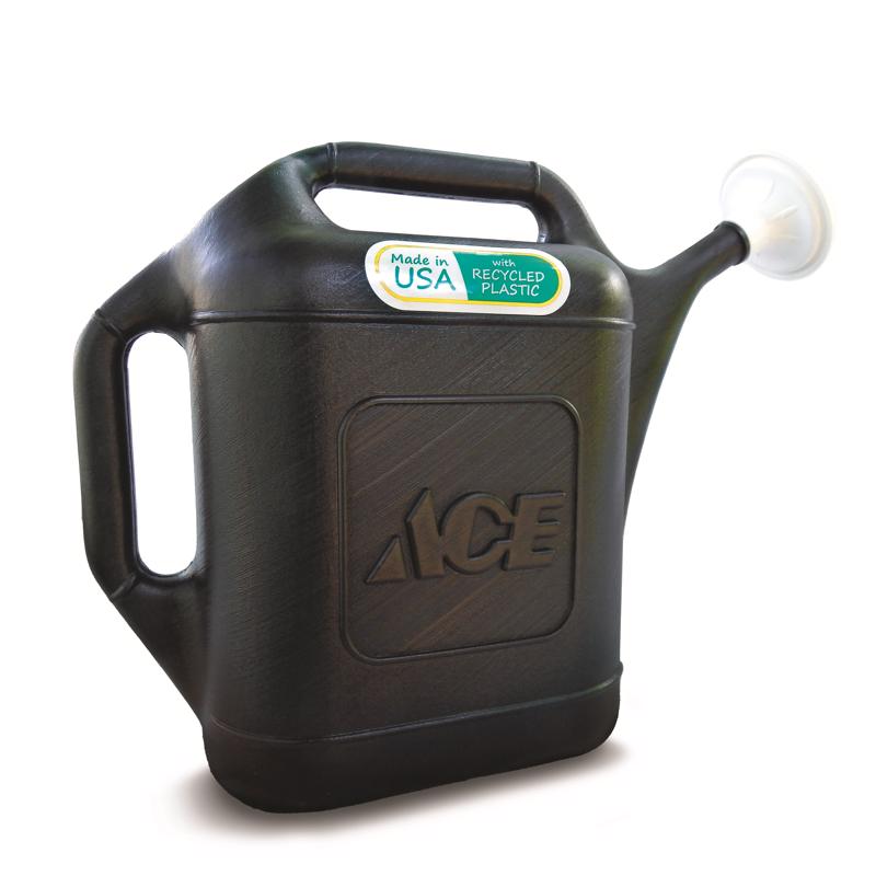 ACE WATERING CAN 2GAL