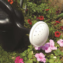 Ace Black 2 gal Plastic Watering Can