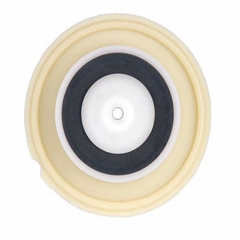 DIAPHRAGM REPAIR KIT