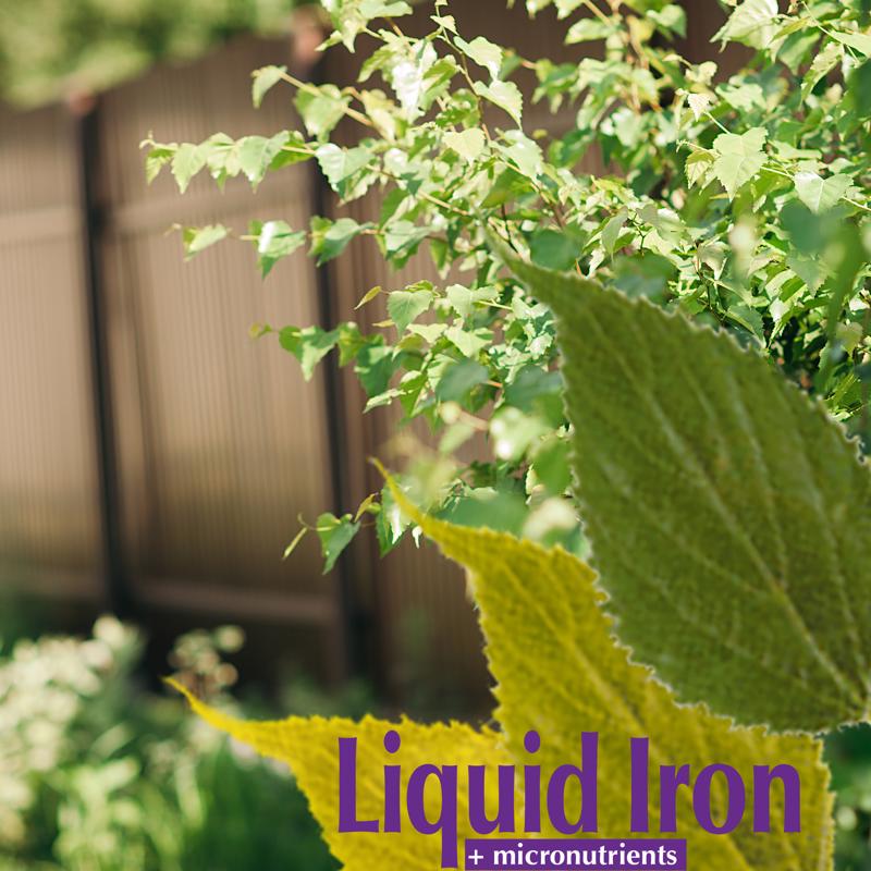 Bonide Garden Rich Liquid Concentrate Plant Food 32 oz