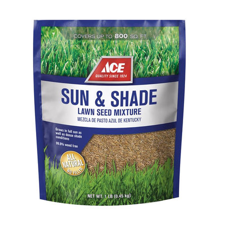 ACE SUN/SHDE GRSS SEED 1