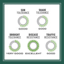 Pennington Smart Seed Mixed Sun or Shade Grass Seed and Fertilizer 3 lb