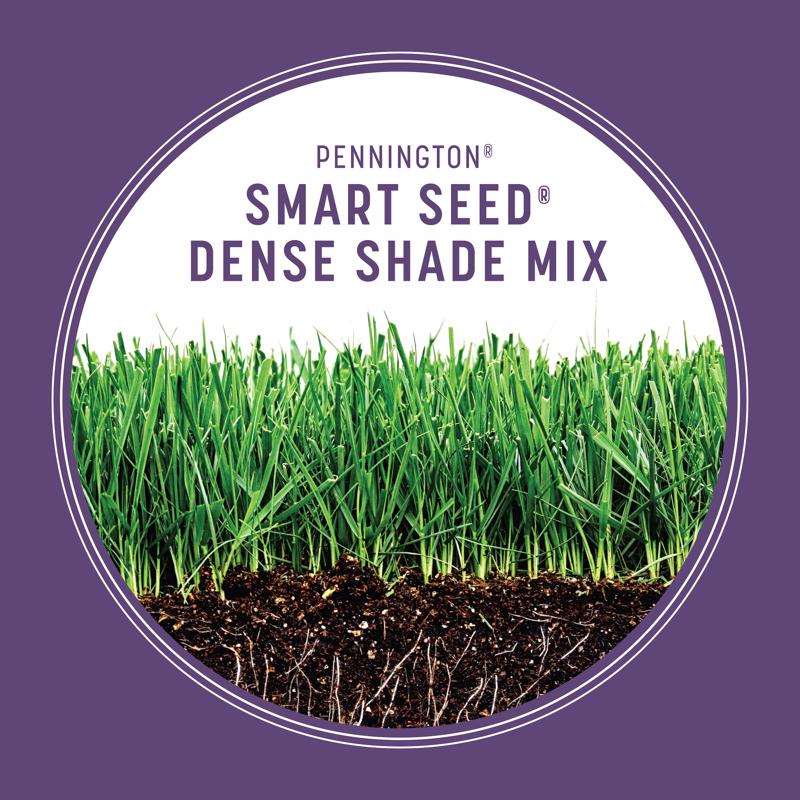 Pennington Smart Seed Mixed Dense Shade Grass Seed and Fertilizer 3 lb