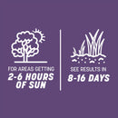 Pennington Smart Seed Mixed Dense Shade Grass Seed and Fertilizer 3 lb