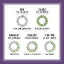 Pennington Smart Seed Mixed Dense Shade Grass Seed and Fertilizer 3 lb