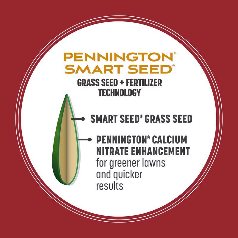 Pennington Smart Seed Perennial Ryegrass Sun or Shade Grass Seed and Fertilizer 3 lb