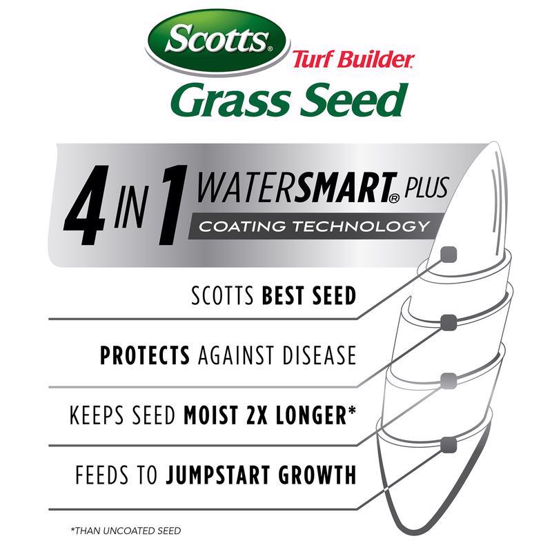 Scotts Turf Builder Tall Fescue Grass Dense Shade Grass Seed 3 lb