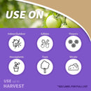 Bonide Bon-Neem II Organic 3 in 1 Garden Insect Spray Liquid 32 oz