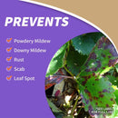 Bonide Bon-Neem II Organic 3 in 1 Garden Insect Spray Liquid 32 oz