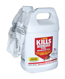 KILLS BED BUGS SPRAY 1G