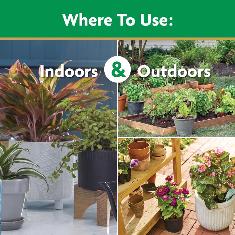 Miracle-Gro Granules All Purpose Plant Food 5.5 lb