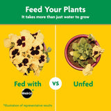 Miracle-Gro Granules All Purpose Plant Food 5.5 lb