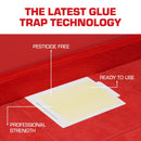 Tomcat Pest Glue Board 4 pk