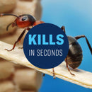 BioAdvanced Insect Killer Liquid 24 oz