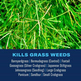 BioAdvanced Bermudagrass Control RTS Hose-End Concentrate 32 oz