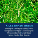 BioAdvanced Bermudagrass Control RTS Hose-End Concentrate 32 oz