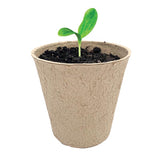 Ferry-Morse 7 Cells 7 in. H X 4 in. W X 4 in. L Seed Starting Peat Pot 7 pk