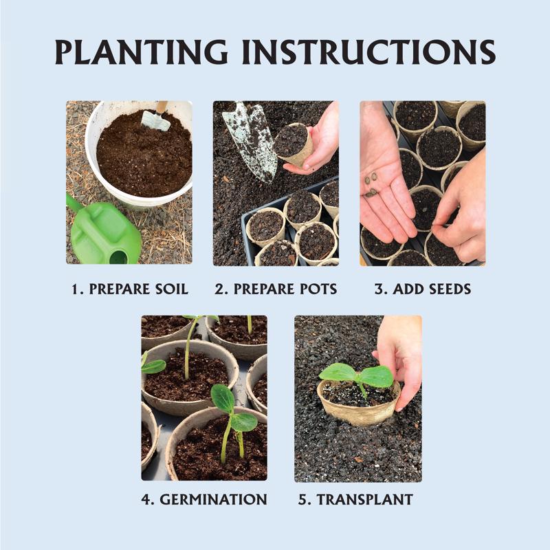 Ferry-Morse 7 Cells 7 in. H X 4 in. W X 4 in. L Seed Starting Peat Pot 7 pk