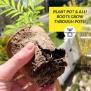 Ferry-Morse 7 Cells 7 in. H X 4 in. W X 4 in. L Seed Starting Peat Pot 7 pk