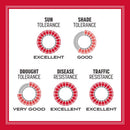 Pennington The Rebels Tall Fescue Grass Sun or Shade Grass Seed 7 lb