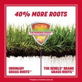 Pennington The Rebels Tall Fescue Grass Sun or Shade Grass Seed 20 lb