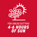 Pennington The Rebels Tall Fescue Grass Sun or Shade Grass Seed 20 lb