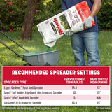 Pennington The Rebels Tall Fescue Grass Sun or Shade Grass Seed 40 lb
