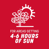 Pennington The Rebels Tall Fescue Grass Sun or Shade Grass Seed 40 lb
