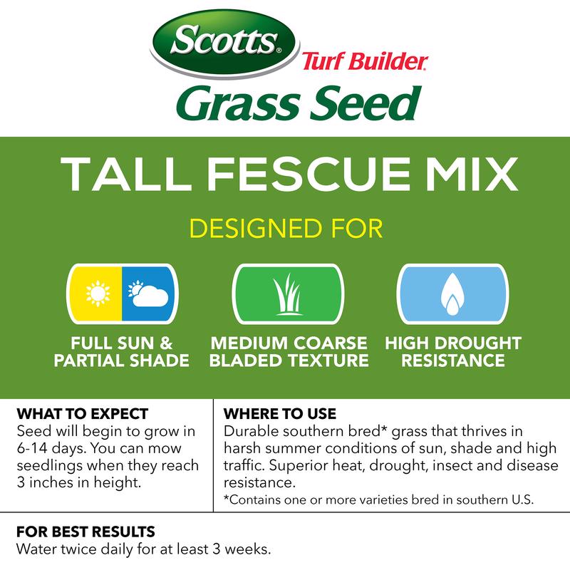 Scotts Turf Builder Tall Fescue Grass Sun or Shade Grass Seed 7 lb
