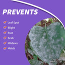 Bonide Fung-Onil Liquid Fungicide 32 oz