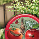 Bonide Captain Jacks Deadbug Brew Organic Insect Killer Liquid 32 oz