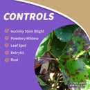 Bonide All seasons Organic Horticultural Spray Oil Liquid 32 oz