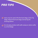 Bonide All seasons Organic Horticultural Spray Oil Liquid 32 oz