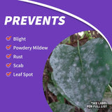 Bonide Infuse Killer RTS Hose-End Concentrate 32 oz