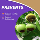 Bonide Rot-Stop Liquid Plant Food 32 oz