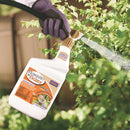 Bonide Mosquito Beater Insect Repellent Liquid For Mosquitoes 1 qt