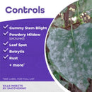 Bonide All seasons Organic Horticultural Spray Oil Liquid Concentrate 16 oz