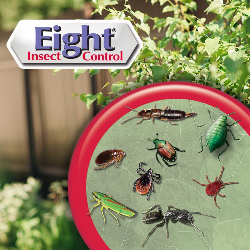 Bonide Eight Yard & Garden Insect Killer Liquid 32 oz