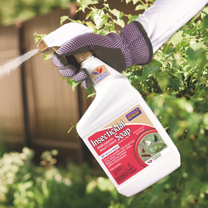 Bonide Multi-Purpose Organic Insect Killing Soap Liquid 32 oz