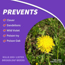 Bonide Weed Beater Weed Killer Concentrate 1 pt