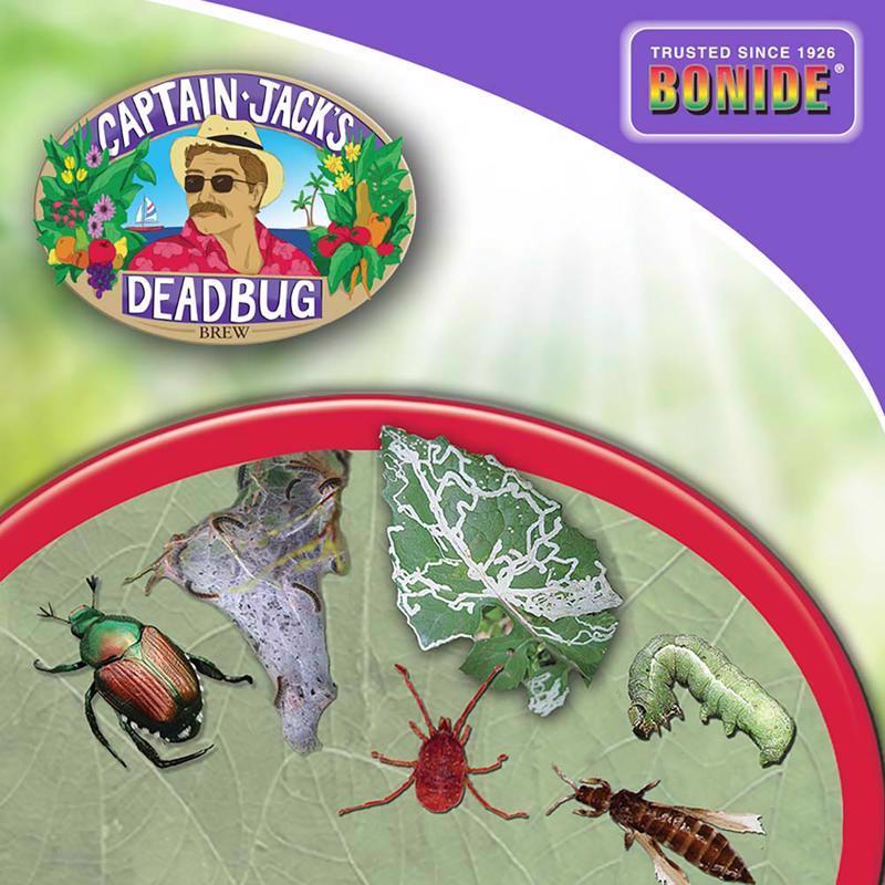 Bonide Captain Jacks Deadbug Brew Organic Insect Killer Dust 4 lb