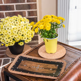 Gardener's Blue Ribbon 0.3 in. H X 6 in. D Cork Planter Mat Brown