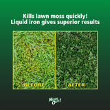 Lilly Miller Moss Out Moss Killer RTU Liquid 1 gal