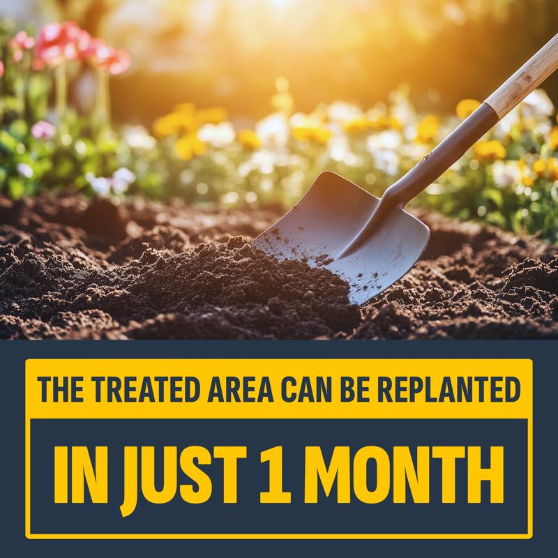 Lilly Miller Image Brush and Vine Killer Concentrate 1 qt