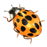 BUGG BUGGSLAYER Stink Bug Killer Liquid Concentrate 16 oz