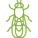 BUGG BUGGINS Original Insect Repellent Liquid For Gnats/No-See-Ums 4 oz